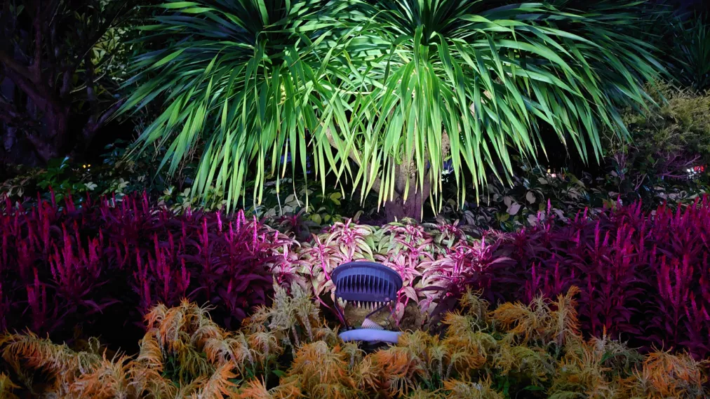 2022 下半年的总结